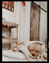 Load image into Gallery viewer, White Wash - Tiki Soul Coastal Surfboard Decor