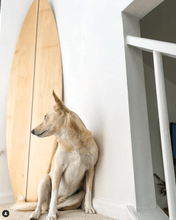 Load image into Gallery viewer, surfboard  beach  decor
